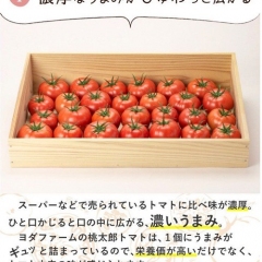 secret-1