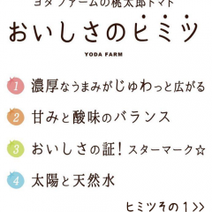 secret-top