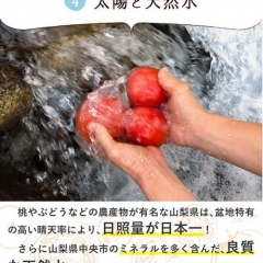 secret4