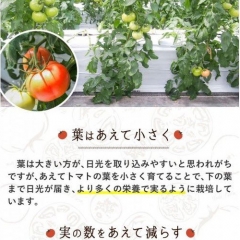 secret6