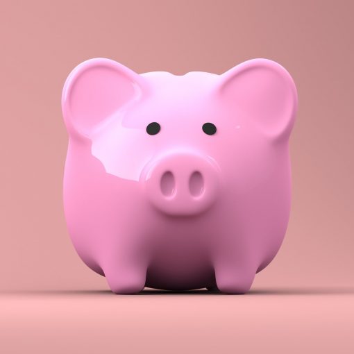 piggy-bank-2889042_1920