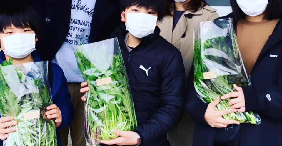veg-package2